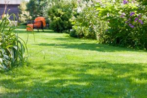 travaux jardin et paysage Wierre-Effroy